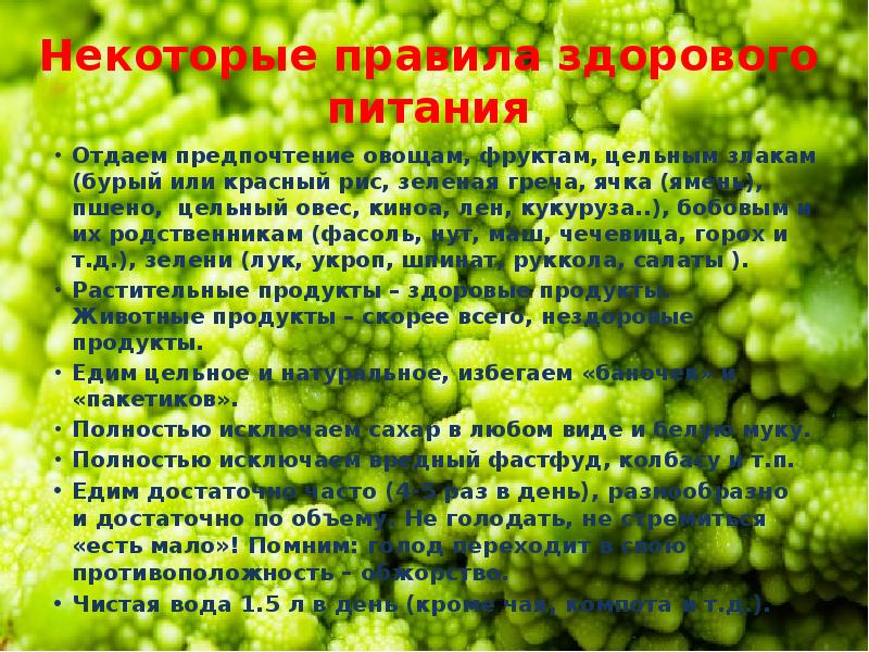 Среда питания. Разумная диета. Сообщение на тему разумное питание. Как повлияет питание исключительно растительной пищей на здоровье.