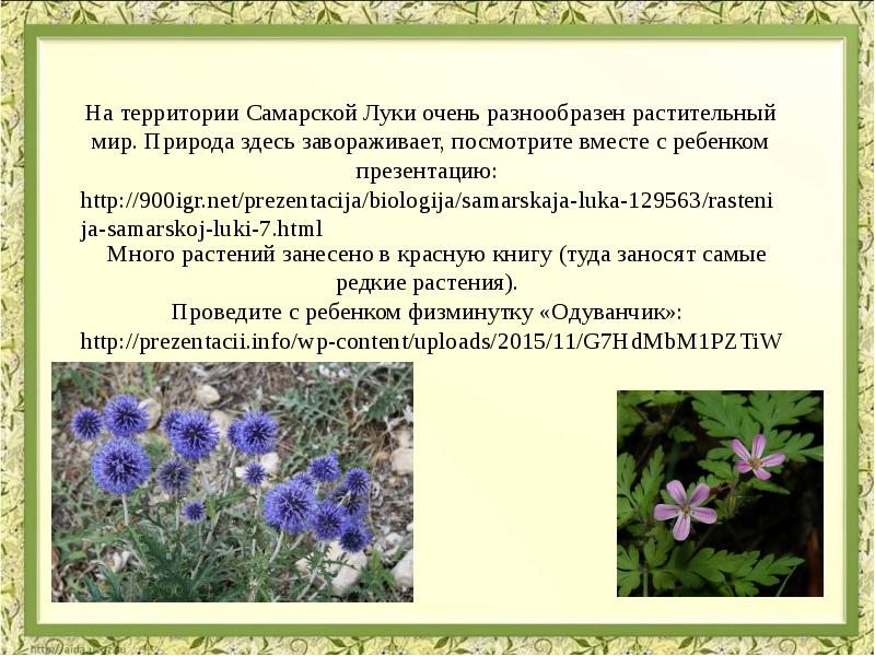 Лекарственные травы самарской области фото и описание