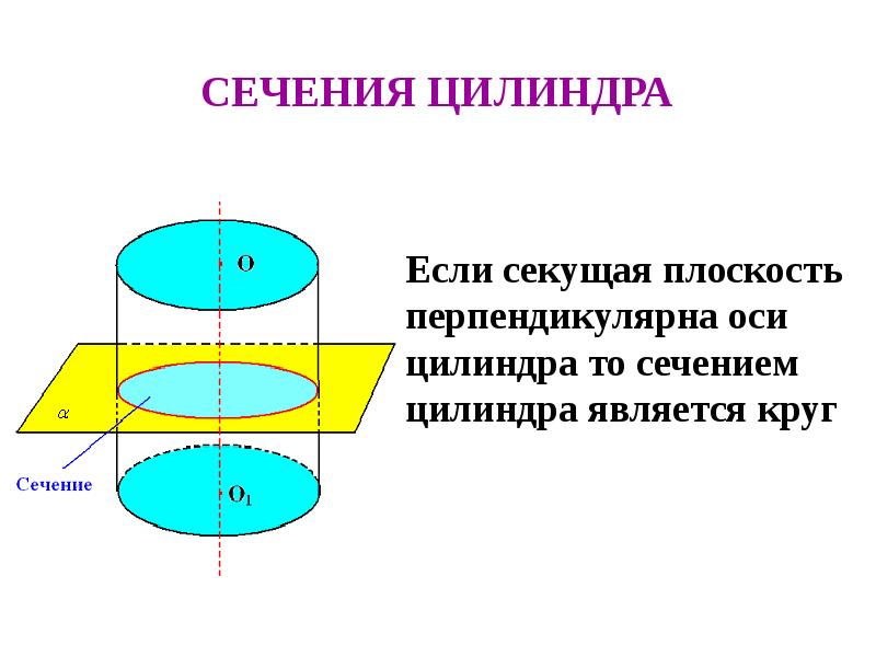 Сечение цилиндра