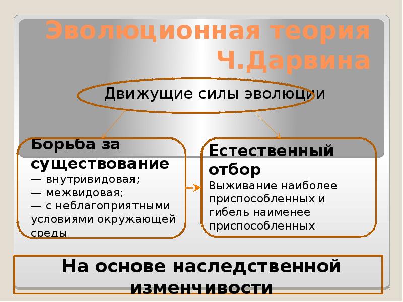 Презентация учение дарвина