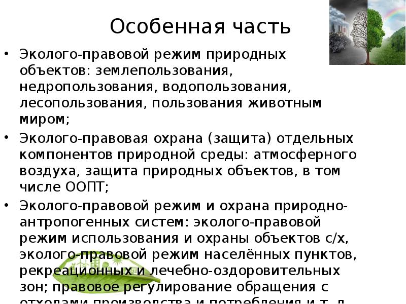 Природный режим. Эколого-правовой режим лесопользования. Эколого правовой режим водопользования. Эколого-правовой режим лесопользования презентация. Эколого правовой режим это.