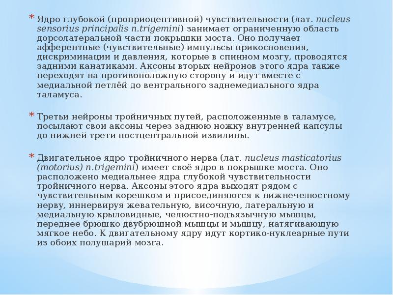 Ядро глубокой (проприоцептивной) чувствительности (лат. nucleus sensorius principalis n.trigemini) занимает ограниченную область дорсолатеральной части покрышки моста. Оно получает афферентные (чувствительные) импульсы прикосновения, дискриминации и давления, которые в спинном мозгу, проводятся задними канатиками. Аксоны вторых нейронов этого ядра также переходят на противоположную сторону и идут вместе с медиальной петлёй до вентрального заднемедиального ядра таламуса.
Ядро глубокой (проприоцептивной) чувствительности (лат. nucleus sensorius principalis n.trigemini) занимает ограниченную область дорсолатеральной части покрышки моста. Оно получает афферентные (чувствительные) импульсы прикосновения, дискриминации и давления, которые в спинном мозгу, проводятся задними канатиками. Аксоны вторых нейронов этого ядра также переходят на противоположную сторону и идут вместе с медиальной петлёй до вентрального заднемедиального ядра таламуса.
Третьи нейроны тройничных путей, расположенные в таламусе, посылают свои аксоны через заднюю ножку внутренней капсулы до нижней трети постцентральной извилины.
Двигательное ядро тройничного нерва (лат. nucleus masticatorius (motorius) n.trigemini) имеет своё ядро в покрышке моста. Оно расположено медиальнее ядра глубокой чувствительности тройничного нерва. Аксоны этого ядра выходят рядом с чувствительным корешком и присоединяются к нижнечелюстному нерву, иннервируя жевательную, височную, латеральную и медиальную крыловидные, челюстно-подъязычную мышцы, переднее брюшко двубрюшной мышцы и мышцу, натягивающую мягкое небо. К двигательному ядру идут кортико-нуклеарные пути из обоих полушарий мозга.
Тройничный нерв анатомия презентация