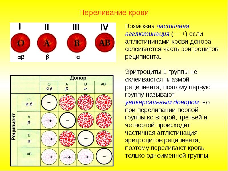 Проект на тему кровь пищевые предпочтения в зависимости от группы крови