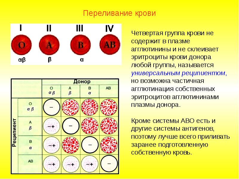 Четвертое положительное. Группы крови таблица эритроциты плазма. В чем различие групп крови. Синантигены эритроцитов 4 группы крови. Группы крови плазма (агглютинины) таблица.