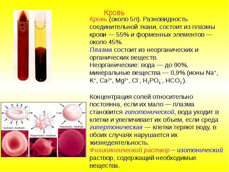 Плазма крови презентация