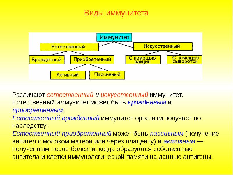 Естественный приобретенный иммунитет. Естественный врожденный иммунитет. Естественный и искусственный иммунитет. Что такое врожденный и искусственный иммунитет.