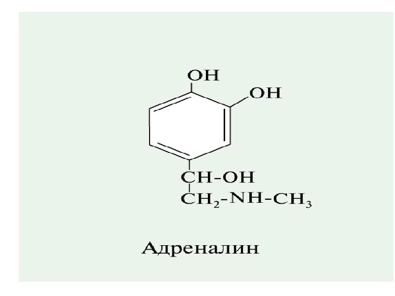 Адреналин мелатонин. Пептидные гормоны. Белково пептидные гормоны. Строение пептидных гормонов.