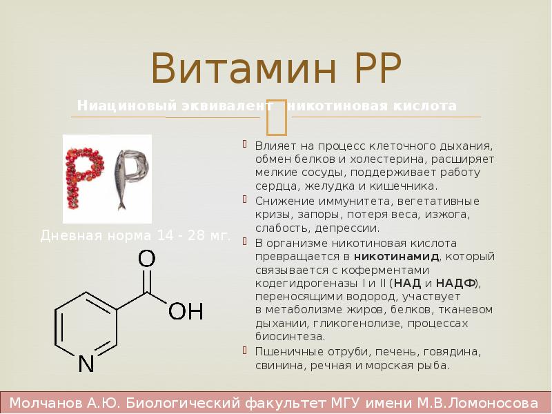 Роль витамина р