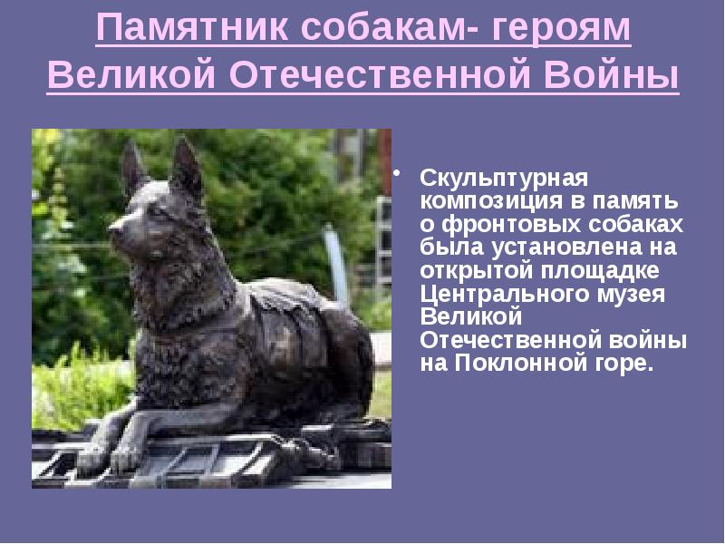 Собаки войны презентация