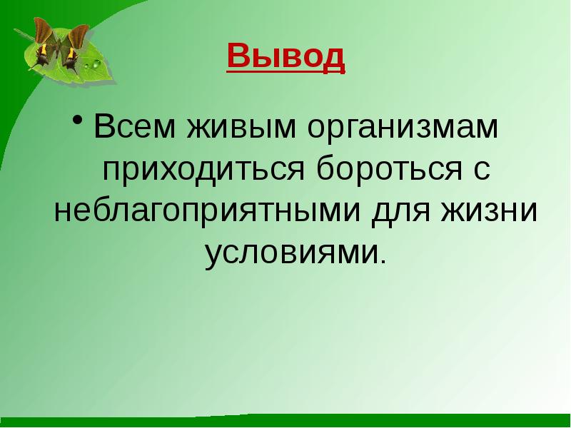 Приходится бороться. Почему всем хватает места на земле. Условия жизни живых организмов. Вывод условия жизни на земле. Почему всем хватает места на земле 6 класс биология.