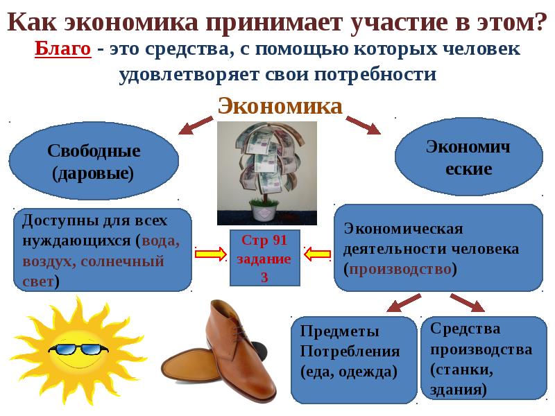 Презентация по обществу 7 класс экономика