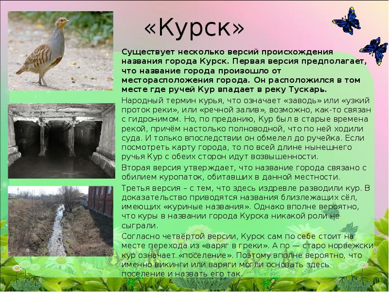 Проект мой родной город курск 2 класс окружающий мир