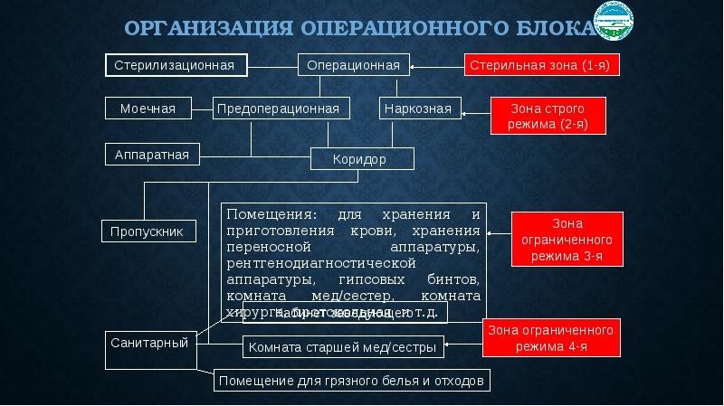 Структура операционного блока презентация