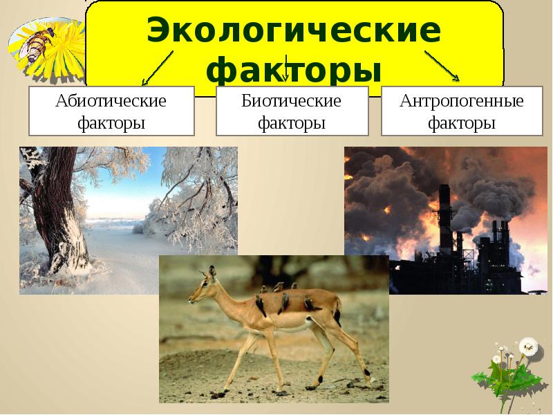 Биотические факторы рисунок