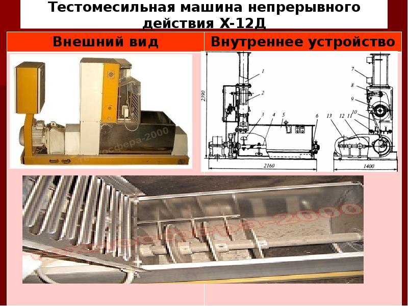 Тестомесильная машина презентация