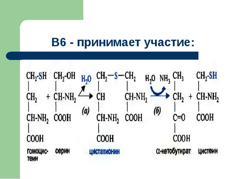 Витамины презентация биохимия