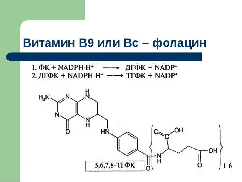 Водорастворимые витамины презентация