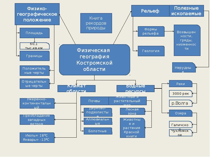 Участники доклад