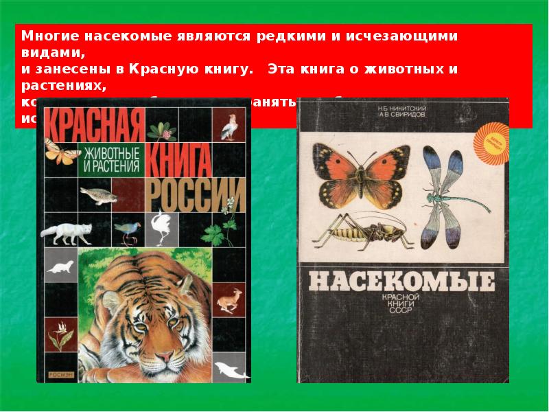 Насекомые из красной книги. Насекомые красной книги СССР книга. Исчезающий вид насекомых красная книга. Книга насекомые СССР. Насекомые из красной книги Забайкальского края.