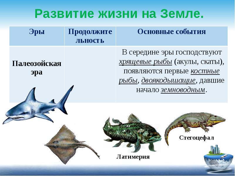 Презентация на тему эры развития жизни на земле по биологии