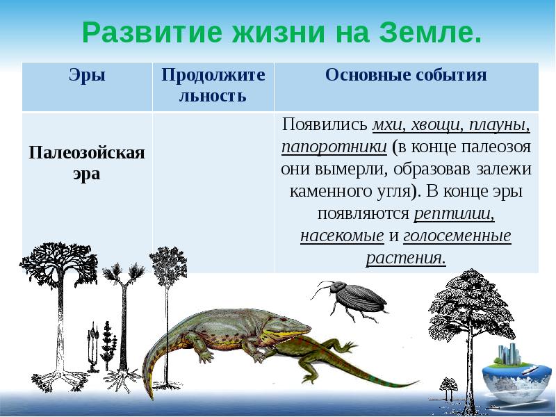 Презентация на тему развитие жизни на земле