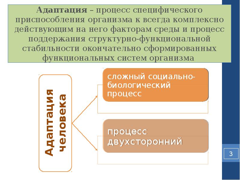 Процесс приспособления организма