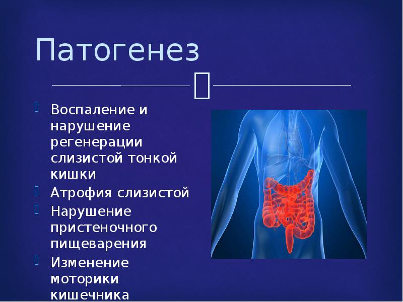 Презентация на тему энтериты и колиты