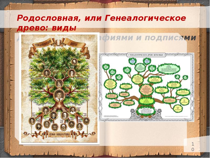 Поколение родословной. Древо Шереметьевых. Виды генеалогических ДРЕВ. Родословное дерево Шереметьевых. Строгановы генеалогическое Древо.