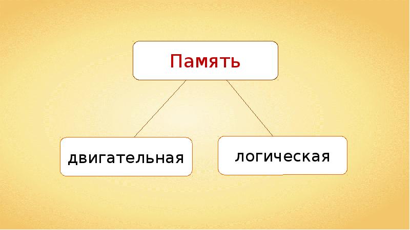 Память логика. Память. Память по биологии. Виды памяти биология 8. Память и обучение.