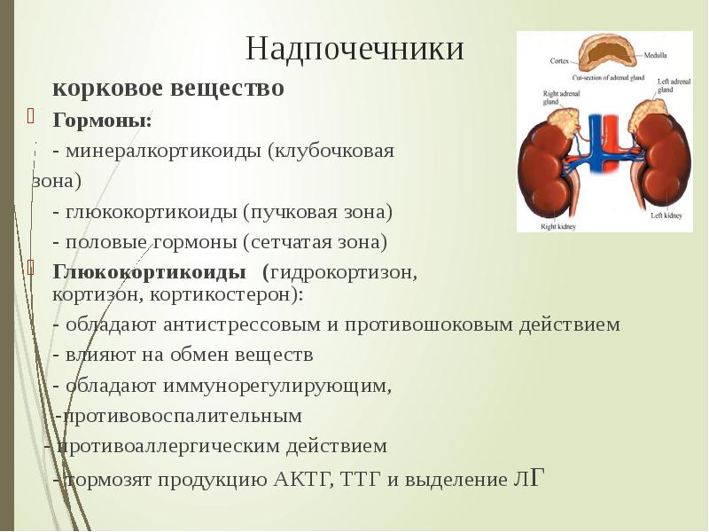 Гормоны надпочечников презентация физиология