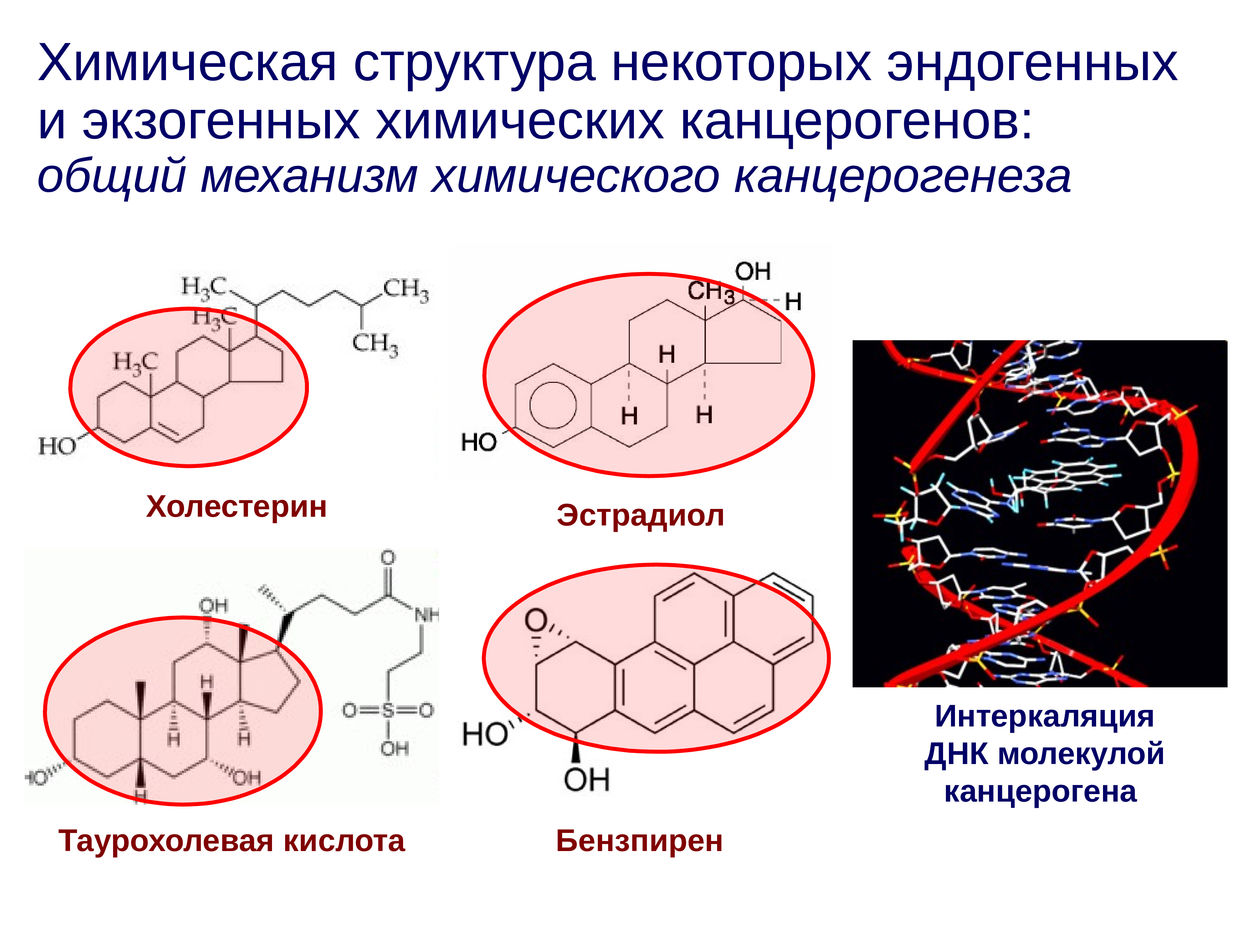 Химический канцерогенез презентация