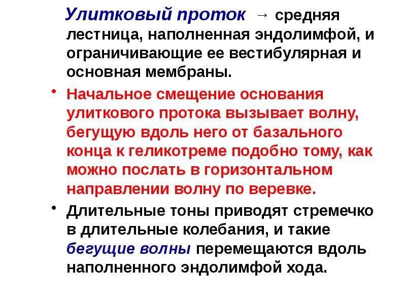 Анатомия физиология и патология органов слуха презентация