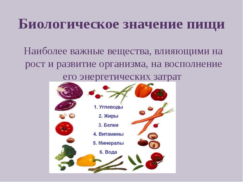 Вещества оказывающие. Восполнение энергетических затрат организма. Влияющие на восполнение энергетических затрат организма. Вещества влияющие на энергетические затраты организма. Вещества влияющие на воспаление энергетических затрат организма.