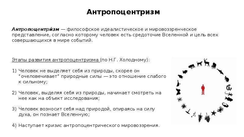 Проект сущность 2019