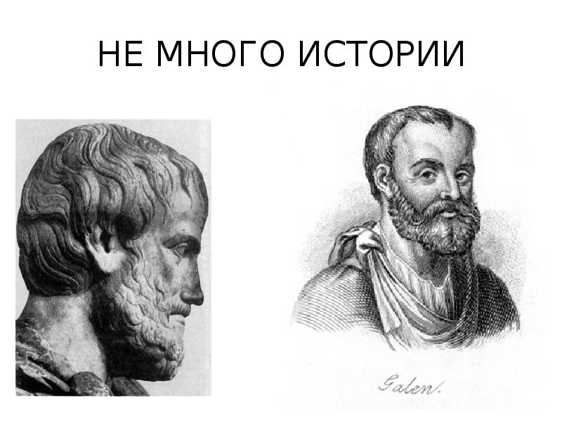 НЕ МНОГО ИСТОРИИ