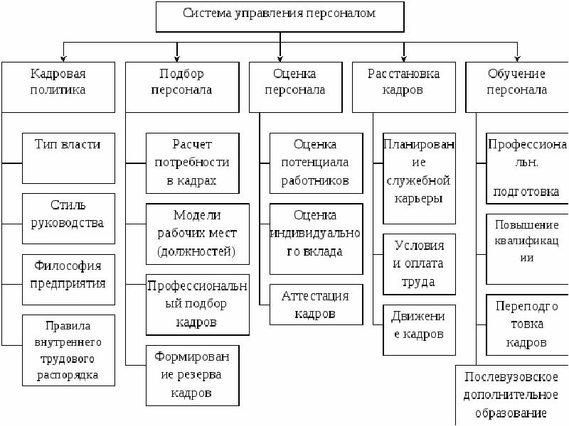 Структура министерства науки и высшего образования рф схема