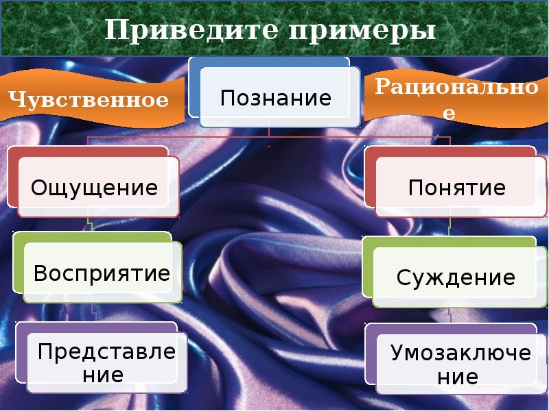 Познавательная деятельность 10 класс презентация