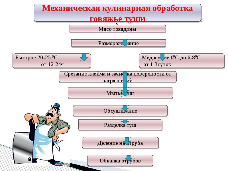 Расскажите о механической кулинарной обработке птицы. Механическая кулинарная обработка говядины. Механическая кулинарная обработка мяса говядины. Схема механической кулинарной обработки мяса. Этапы механической кулинарной обработки.