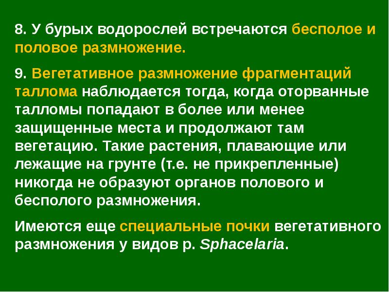 Бурые водоросли текст. Вегетативное размножение бурых водорослей. Бесполое размножение бурых водорослей. Размножение бурых водорослей. Как размножаются бурые водоросли.