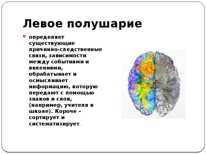 Какие есть полушария. Определить полушарии. Фото на проверку полушарий. Платье для определения полушария мозга. Что такое полушария и сколько их.