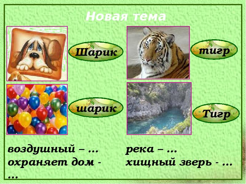 Имя зверя. Клички животных на букву м. Клички животных на букву л. Приложения клички животных. Наука изучающая клички животных.