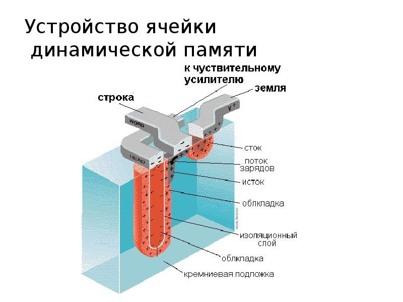 Оперативная память регенерация памяти презентация