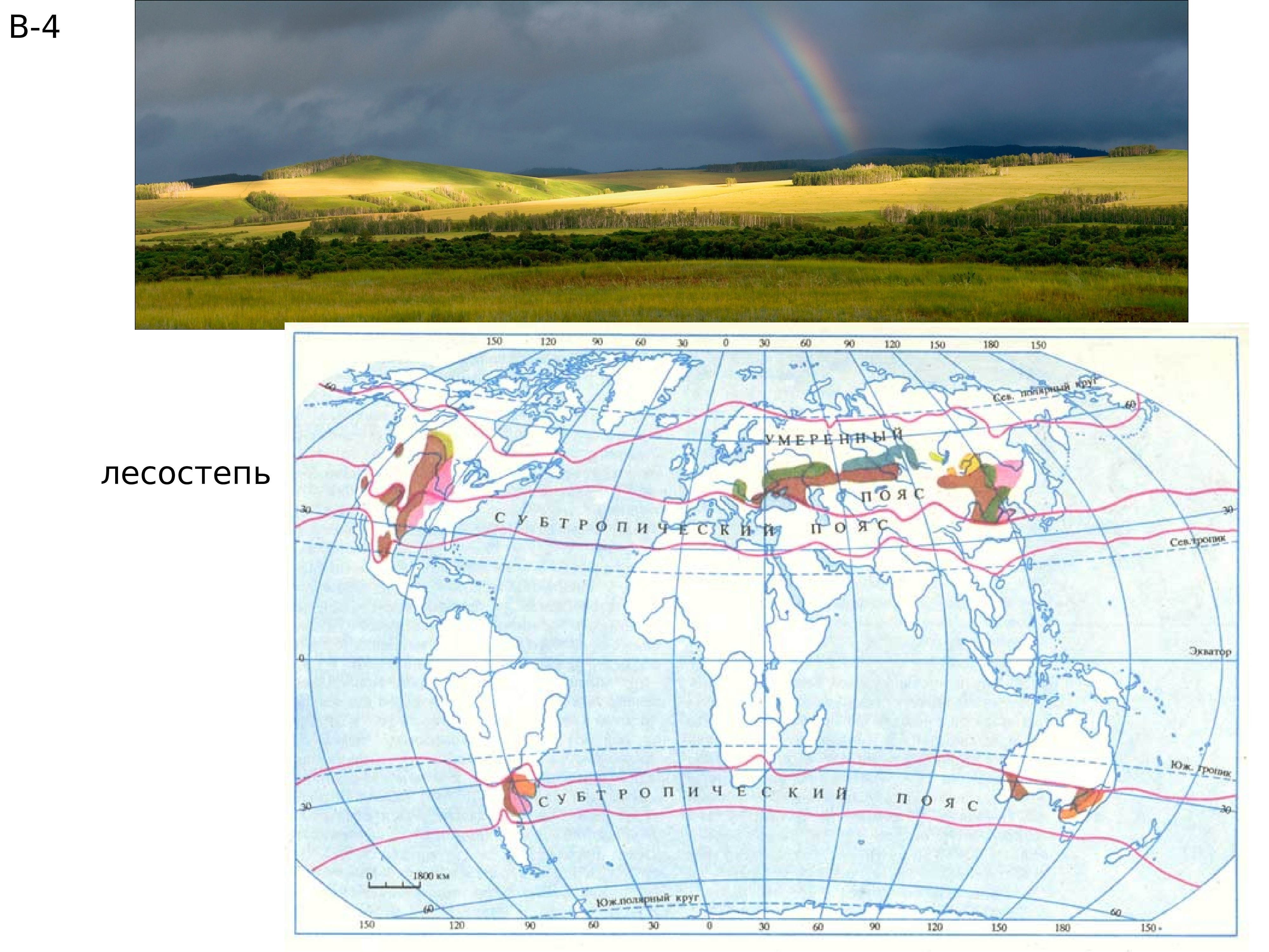 Карта лесостепи россии