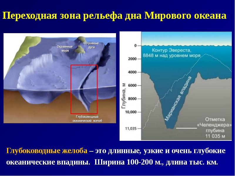 Схема строения рельефа дна мирового океана глубоководный желоб