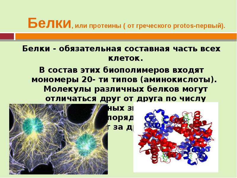 Состав белков клетки. Белки обязательная составная часть всех клеток. Белки клетки презентация. Составные части белков. Клетка для белки.