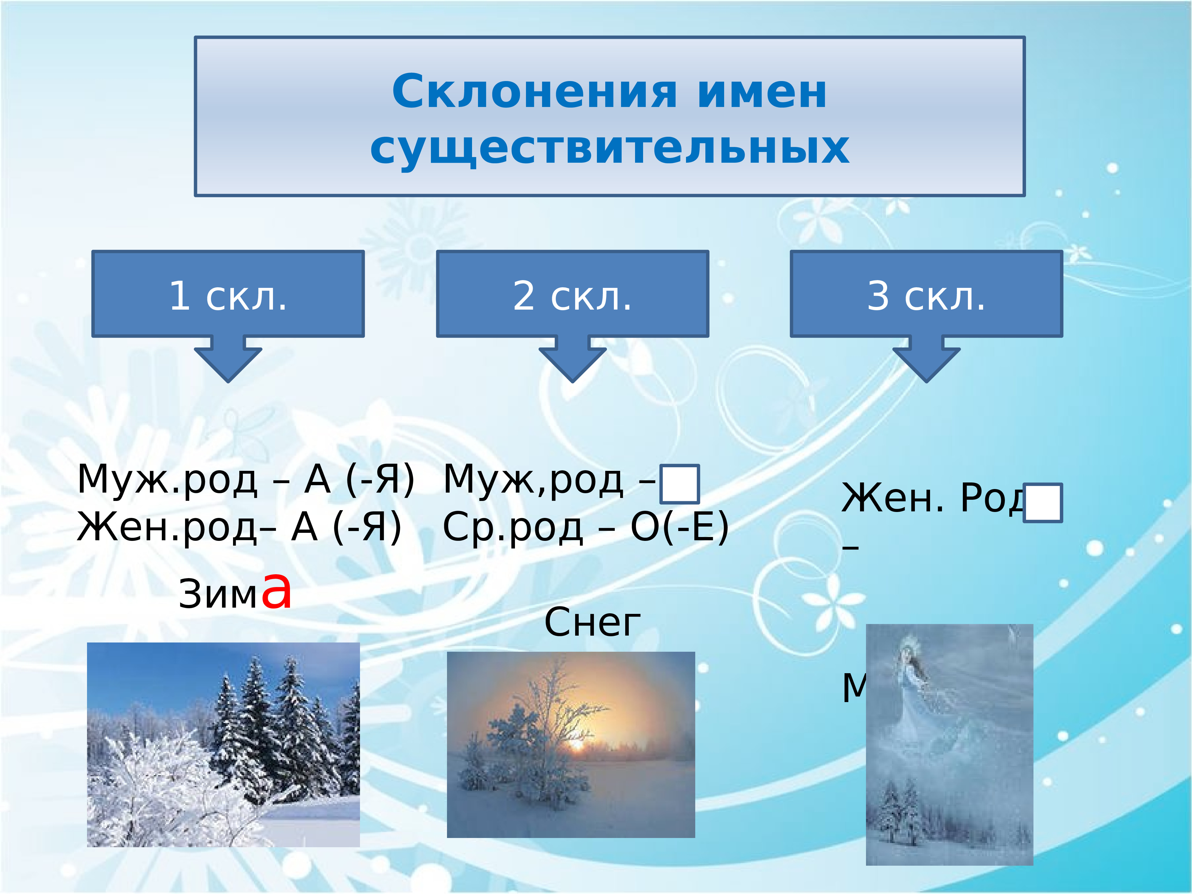 Метель род мужской или женский род. Имя существительное как часть речи 5 класс правило.