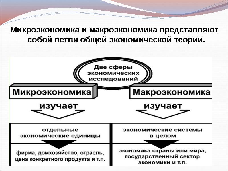 микроэкономика и макроэкономика егэ