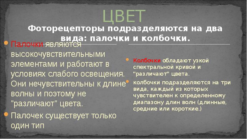 ЦВЕТ
Фоторецепторы подразделяются на два вида: палочки и колбочки. ЦВЕТ
Фоторецепторы подразделяются на два вида: палочки и колбочки.
