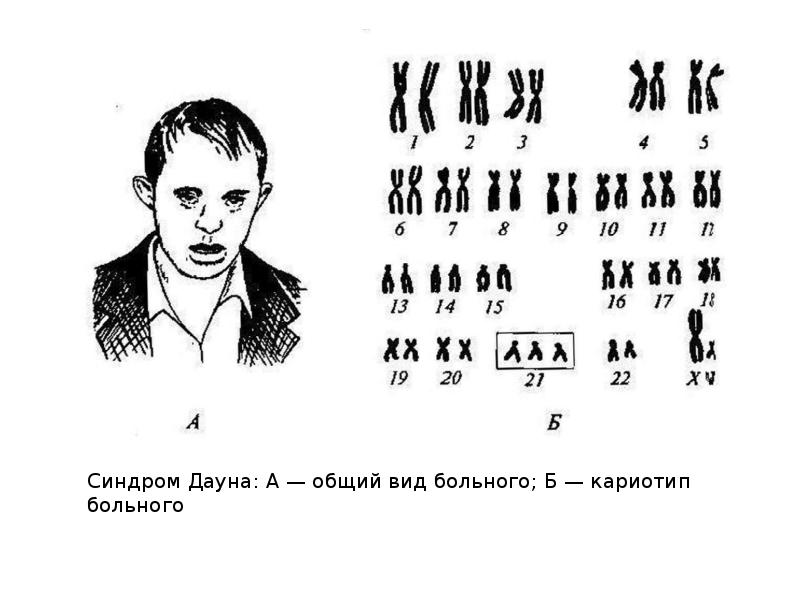 Генотипические мутации презентация 10 класс