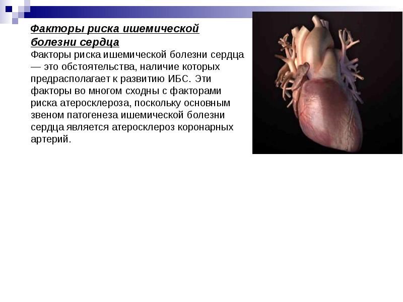 Болезни сердечно сосудистой системы презентация ветеринария